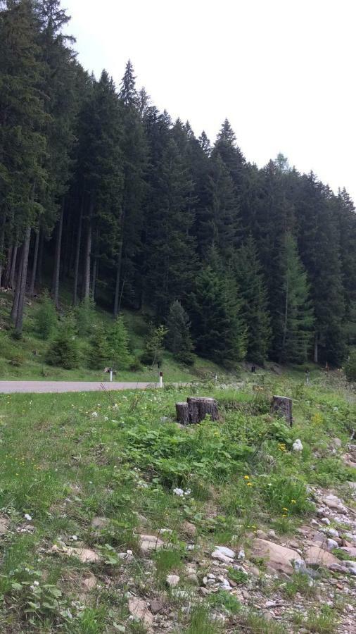 Casa A Pie Di Pista Apartman Tesero Kültér fotó